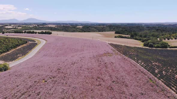 Valensole Plateau Provence Southern France