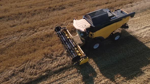 Harvester Combine Working in the Field