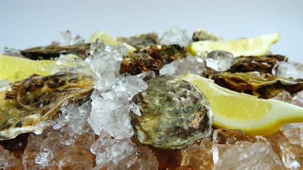 Oysters on ice on a rotating board.