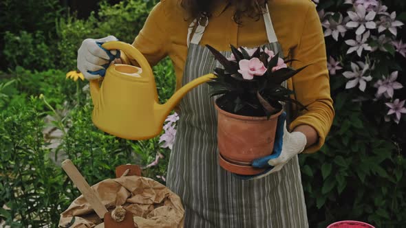 Young Woman Watering Balsam Plant Outdoors