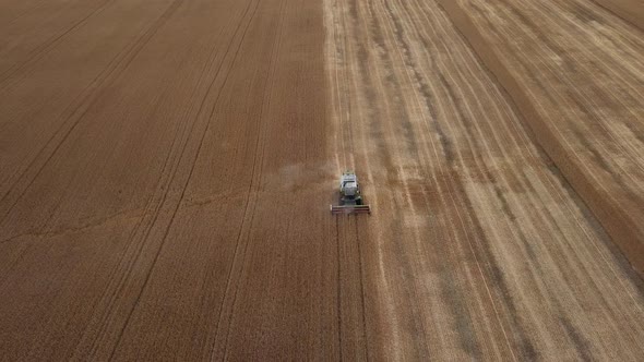 Aerial view: Combine harvesting oat in agriculture field