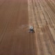 Aerial view: Combine harvesting oat in agriculture field - VideoHive Item for Sale