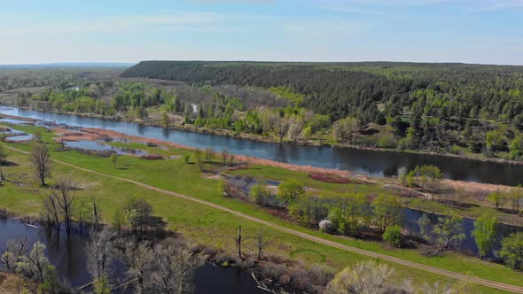 An Overview of a Flooded Fields and Green Forest