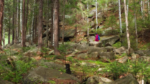 Aerial View of a Girl Walking in the Woods