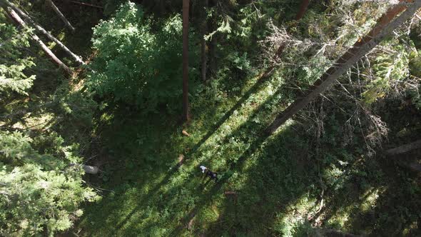 Man Stands in Forest Among Trees Waving White Cloth and Hands Aerial View