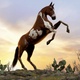 Horse Appearing - VideoHive Item for Sale