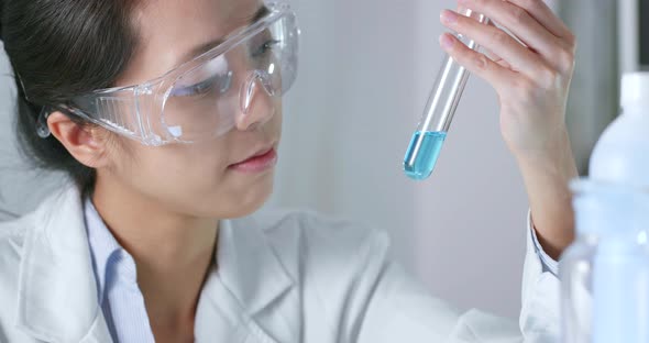 Laboratory assistant check petri dish