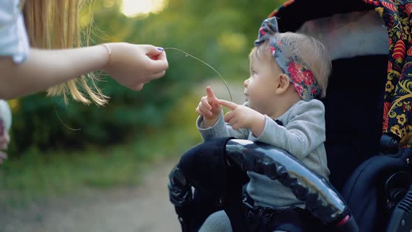 Young Mother Plays with Her Daughter, Gives Her a Twig.