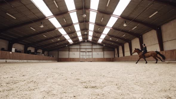 Young Woman Riding Horse Bareback In Paddock