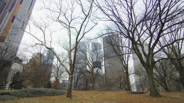 Skyscrapers near Central Park