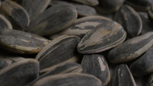 Cinematic, rotating shot of sunflower seeds on a white surface 