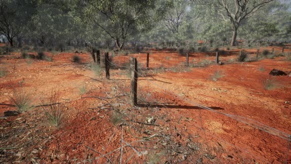 Dingoe Fence in the Australian Outback