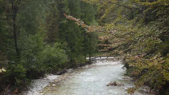 Aerial view of Fast Moving River with Rapids Surrounded by Forest