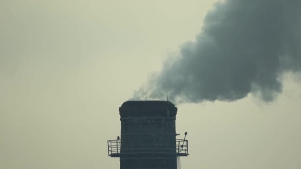 Smoke Comes From the Chimney. Air Pollution. Slow Motion. Ecology. Kyiv. Ukraine