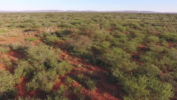 Aerial view of an arid African savannah in the Kalahari region of the  Northern Cape, South Africa