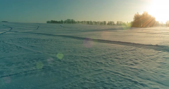 Aerial Drone View of Cold Winter Landscape with Arctic Field Trees Covered with Frost Snow and