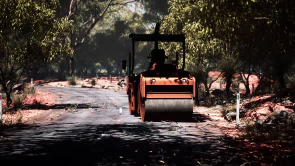 Road Roller Tractor in the Forest