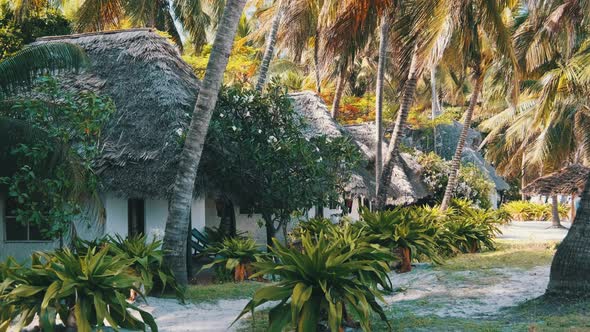 Tropical Beach Hotel with Thatched Roofs in Palm Groves By Ocean Zanzibar Paje