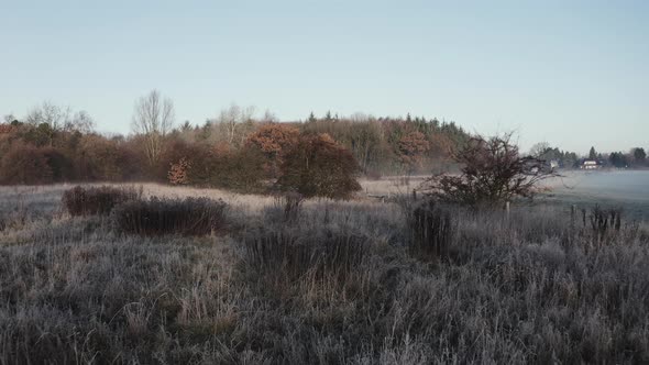 early morning winter landscape, tracking shot over frost-covered bushes, very romantic