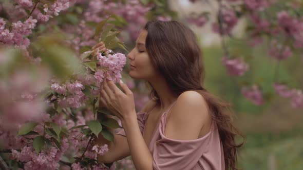 Woman at Blossoming Sakura Tree on Nature