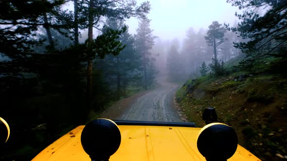 Forest Path Off Road