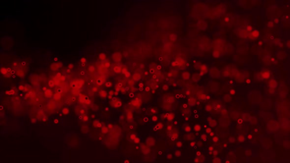 Red Particles  Motion Graphics Background Vedio