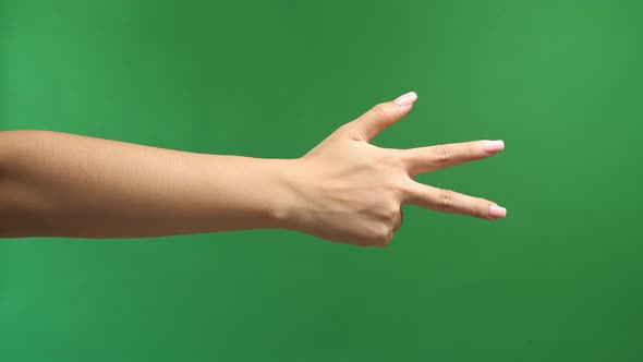 Female Hand Is Showing Three Fingers Isolated On Green Screen Background