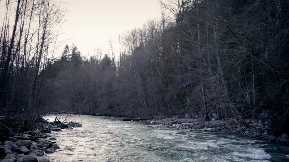 Pan Up From River To Woods In Evening