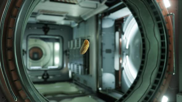 Marinated Pickled Cucumber Floating in Internation Space Station