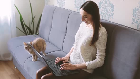 Woman Working From Home Ith a Cat