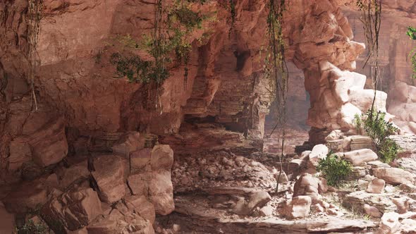 Inside a Limestone Cave with Plants and Sun Shine