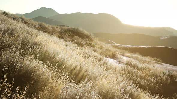 Sunset Over the Valley Fields