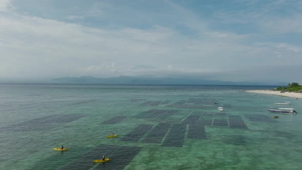 Seaweed farm submerged under shallow tropical water near shore of island, aerial