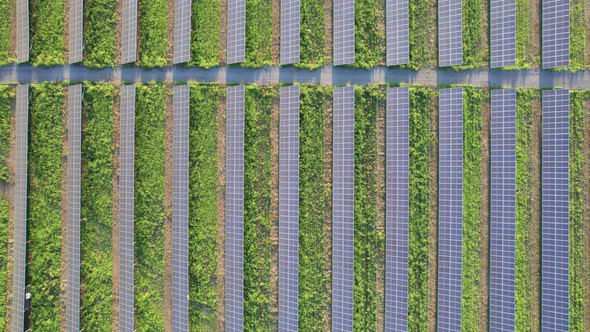 Aerial View Solar Power Station on Green Field at Sunset Solar Panels in Row