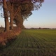 Aerial Cinematic Clip Drone Flying Over a Farm Field During Sunset - VideoHive Item for Sale