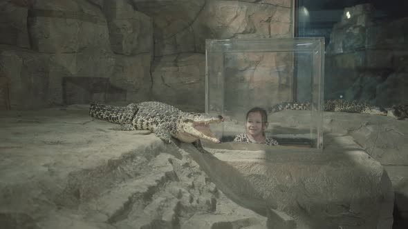 People Look at Crocodiles in a Large Oceanarium