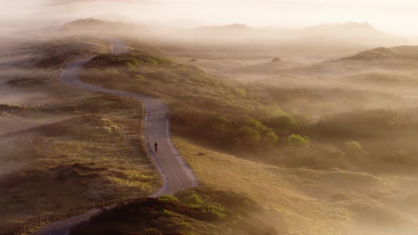 Foggy weather with golden light at dawn in dunes of Kijkduin resort, The Hague