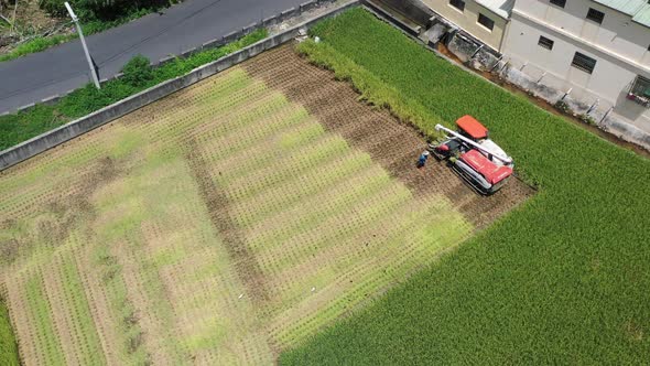 Aerial drone footage Cultivated rice paddy field, farmer harvesting the crops with multifunctional p