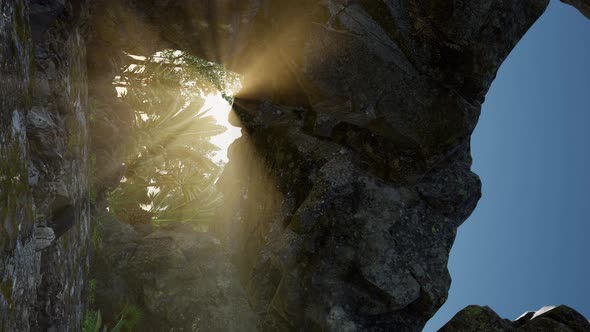 Vertical Shot of Tropical Cave at Sunset