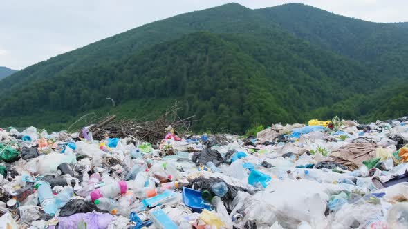 Landfill for Plastic Waste in the Middle of a Green Forest in the Carpathians Ukraine