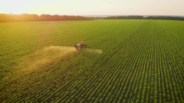 Aerial View of Farming Tractor Spraying on Field with Sprayer Herbicides and Pesticides at Sunset