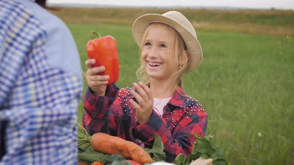 Little Girl Harvesting Fresh Vegetables in the Garden, Funny Gardener Sorts Fresh Ripe Vegetables in