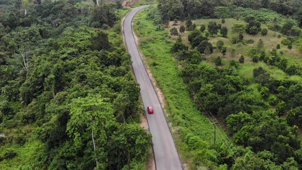 Cinematic overhead aerial view of a moving car on a road trip in between trees