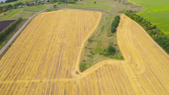 Field with Haystacks After Harvest