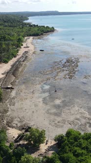 Tanzania  Vertical Video of Low Tide in the Ocean Near the Coast of Zanzibar Slow Motion