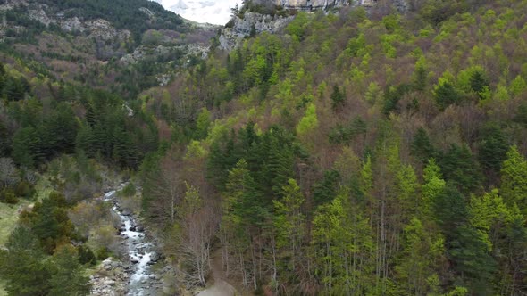 Mountain forest during spring with multiple colors