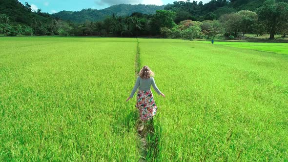 Aerial Drone Footage of Blond Girl in Dress Walking Along the Rice Fields in El Nido Philippines