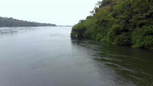 Aerial shot flying low along the river Nile and over the jungle on the banks of the river.