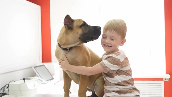 Happy Child Boy with Dog in Vet Clinic
