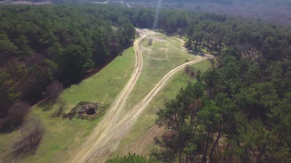 Aerial Drone View Over Road in Coniferous Forest